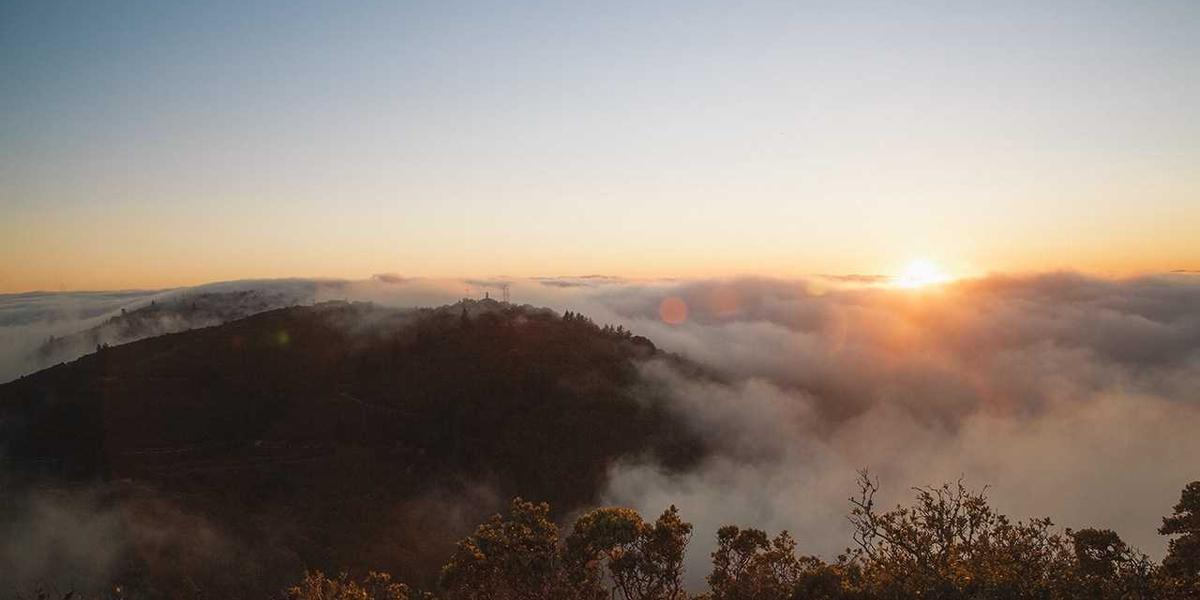 SEO Nədir və Necə İşləyir? Biznesler Üçün Tam Bələdçi