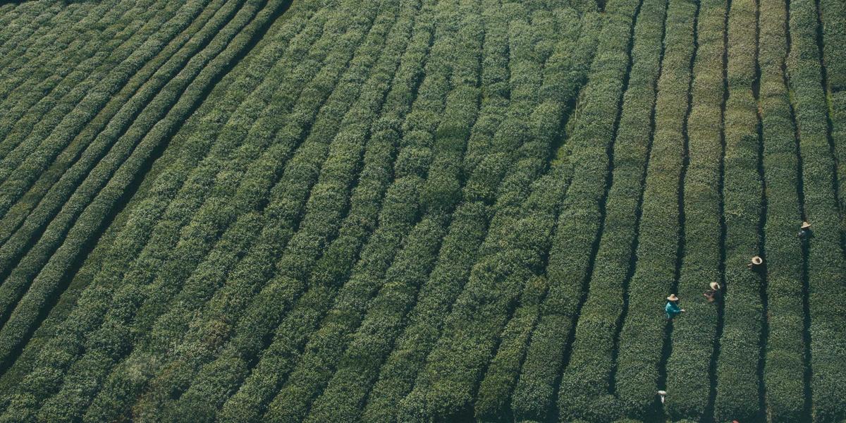 Korporativ E-mail Necə Qurulur? info@şirkətin.com — Tam Bələdçi